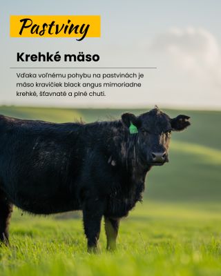 Vedeli ste, že mäso Black Angus patrí medzi najvyhľadávanejšie na svete? 🥩 Tieto kravičky si žijú voľne na pastvinách, kde...